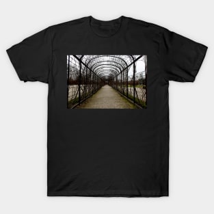 Arbor T-Shirt